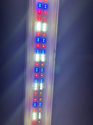 Pantalla LED Acuario LEDDY SLIM