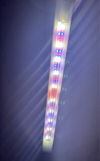 Pantalla LED Acuario LEDDY SLIM