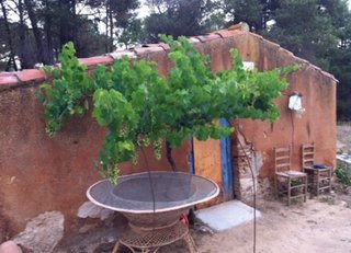 Finca rustica
