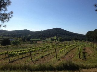 Finca rustica