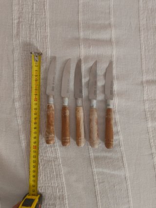Set di 5 coltelli classici Nicul