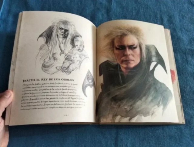 Dentro del Laberinto.  Bestiario.