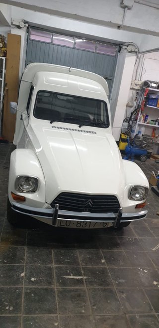 Citroen Dyane 6 2009