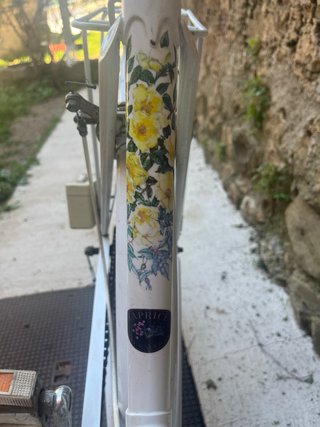 Bicicleta Raleigh Bicycle Company vintage blanca