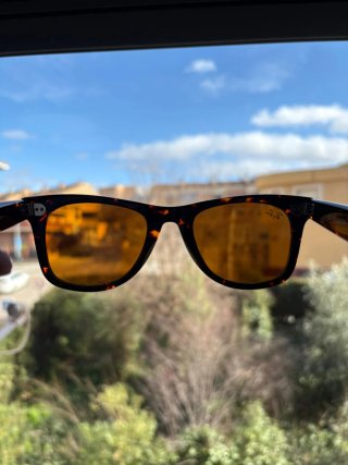 Gafas de Sol Ray-Ban Wayfarer Tortoise/Brown 50