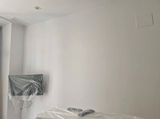 Pintor particular