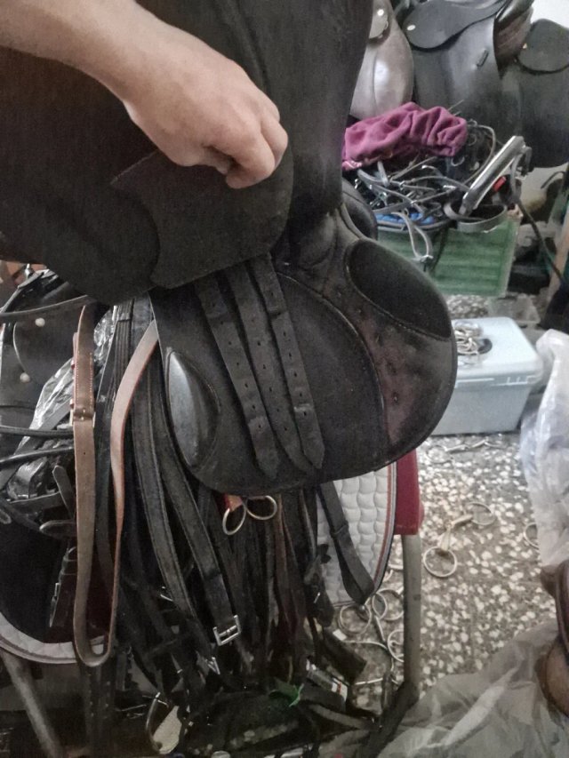 Montura Salto Passier 17.5