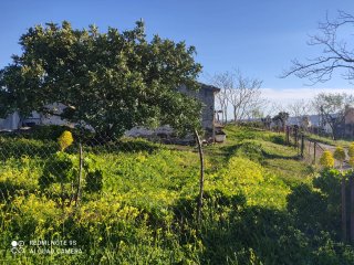 Finca Rústica 5.428m2