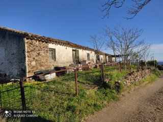 Finca Rústica 5.428m2