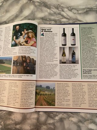 Le Marche da bere: Vini & Vitigni