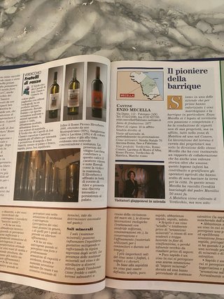 Le Marche da bere: Vini & Vitigni