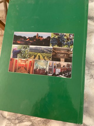 Le Marche da bere: Vini & Vitigni