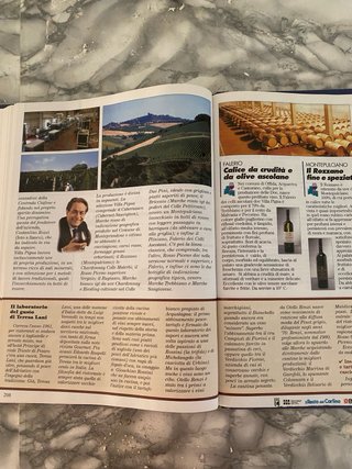 Le Marche da bere: Vini & Vitigni