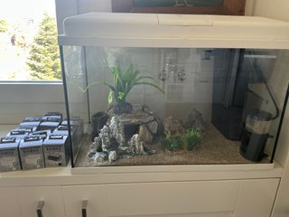 Acuario con bomba y filtros extra