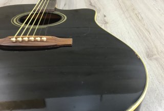 Takamine G Series EG321C