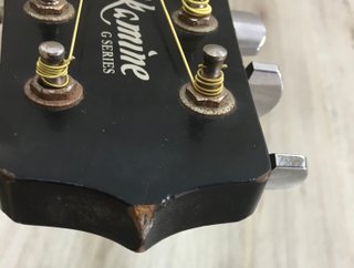 Takamine G Series EG321C
