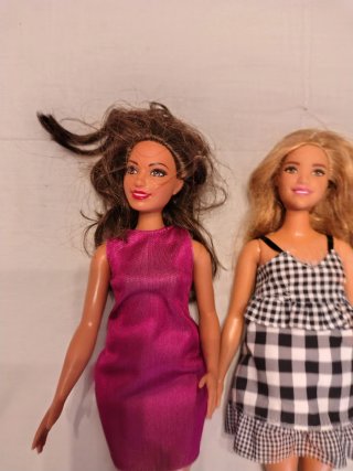 Barbies curvy