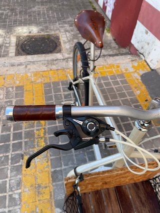 Bicicleta Cargo-Bike a 2 ruote con 7 velocità