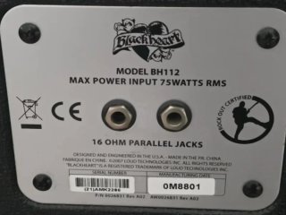 Blackheart Little Giant 5W Válvulas + Pantalla