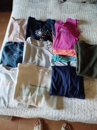 Lote de Sudaderas Variadas.
