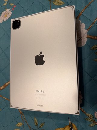 iPad Pro 11 4ta Gen 256GB Wi-Fi Plata