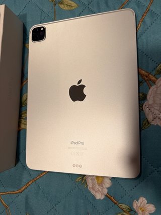 iPad Pro 11 4ta Gen 256GB Wi-Fi Plata