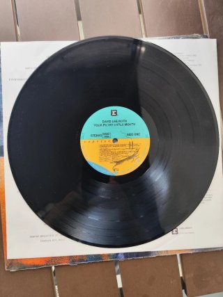 Vinilo David Lee Roth - Your Filthy Little Mouth.