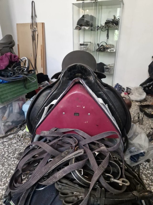 Montura Doma Passier Grand Gilbert 17