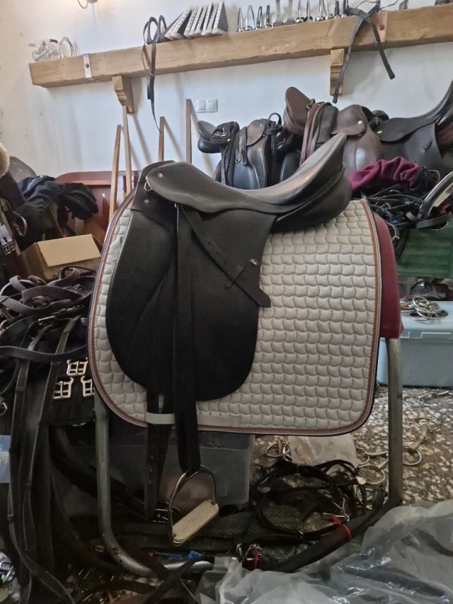 Montura Doma Passier Grand Gilbert 17