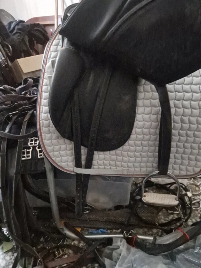 Montura Doma Passier Grand Gilbert 17