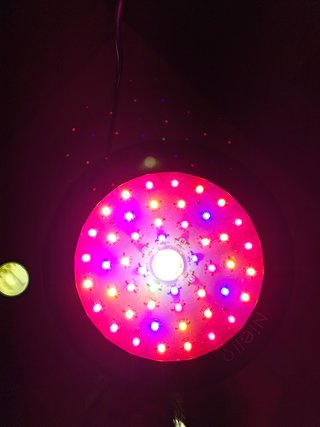 2 Luces LED Cultivo 150w y 300w