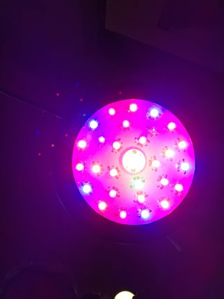 2 Luces LED Cultivo 150w y 300w