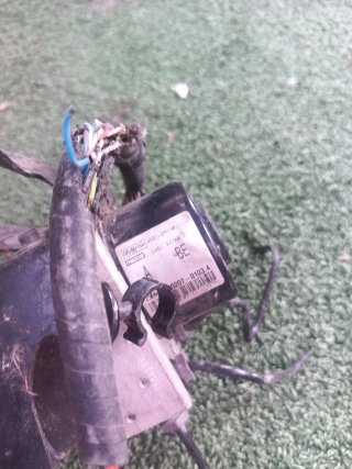Las ratas se comieron los cables