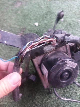 Las ratas se comieron los cables