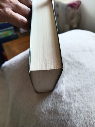 Libro Esclava de la libertad
