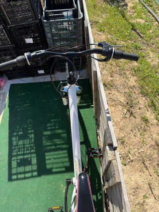 Bicicleta Stalyn Avigo 26 (M)