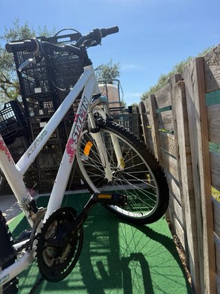 Bicicleta Stalyn Avigo 26 (M)