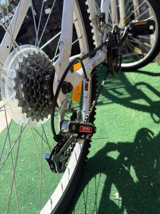 Bicicleta Stalyn Avigo 26 (M)