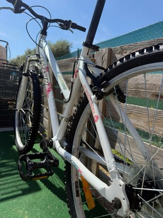 Bicicleta Stalyn Avigo 26 (M)