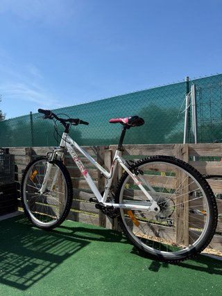 Bicicleta Stalyn Avigo 26 (M)