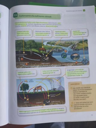Biologia eta geologia, DBH 4 Egiten Jakin proie...