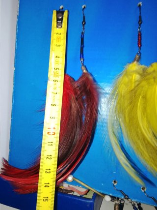 Pendientes de plumas