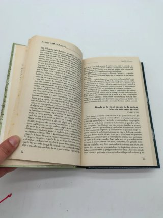 El ingenioso hidalgo don Quijote de la Mancha