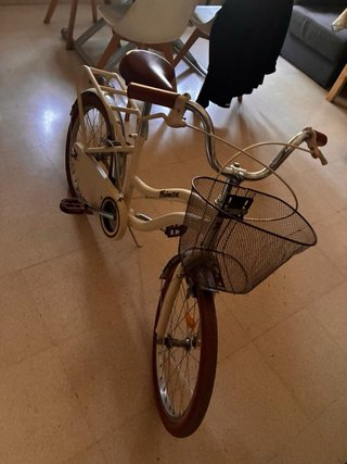 Bicicleta paseo niña 20 pulgadas