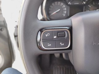 DESDE 160€ AL MES SIN ENTRADA CITROEN C3 C-SERIES