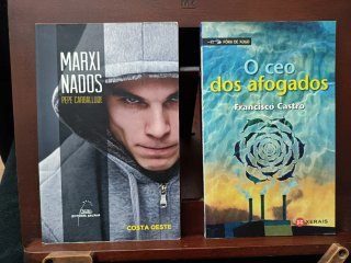 Lote 5 libros xuvenís en galego