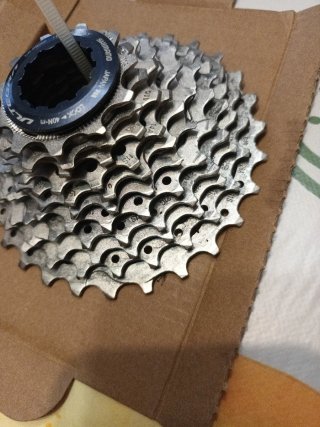 Pacco Pignoni Shimano Ultegra