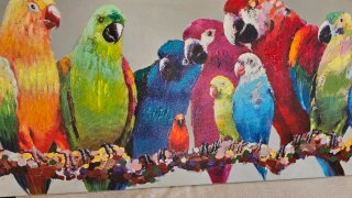 Cuadro Loros Maison du Monde
