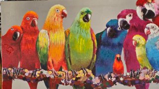 Cuadro Loros Maison du Monde