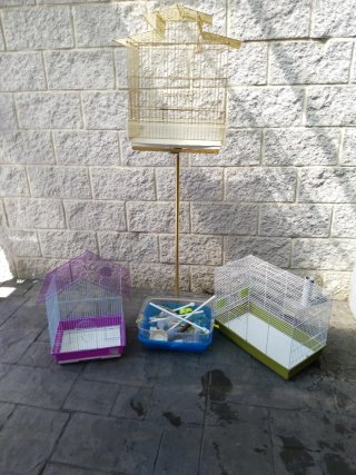 Jaula Dorada para Pájaros o Hámster